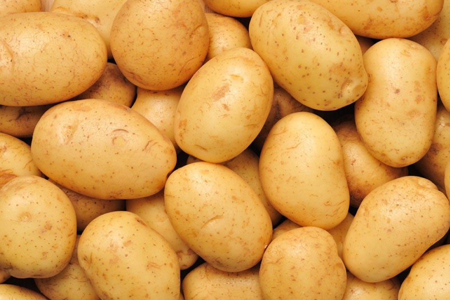 Ispahani potato seeds help farmers recoup losses