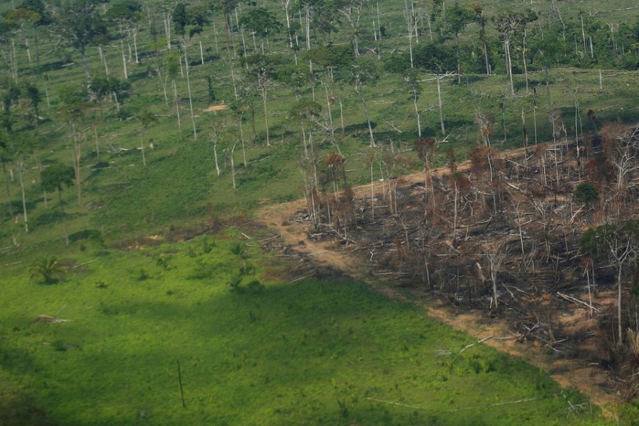 An aerial view shows a deforested plot of the Amazon rainforest in Rondonia State, Brazil September 28, 2021. REUTERS/Adriano Machado