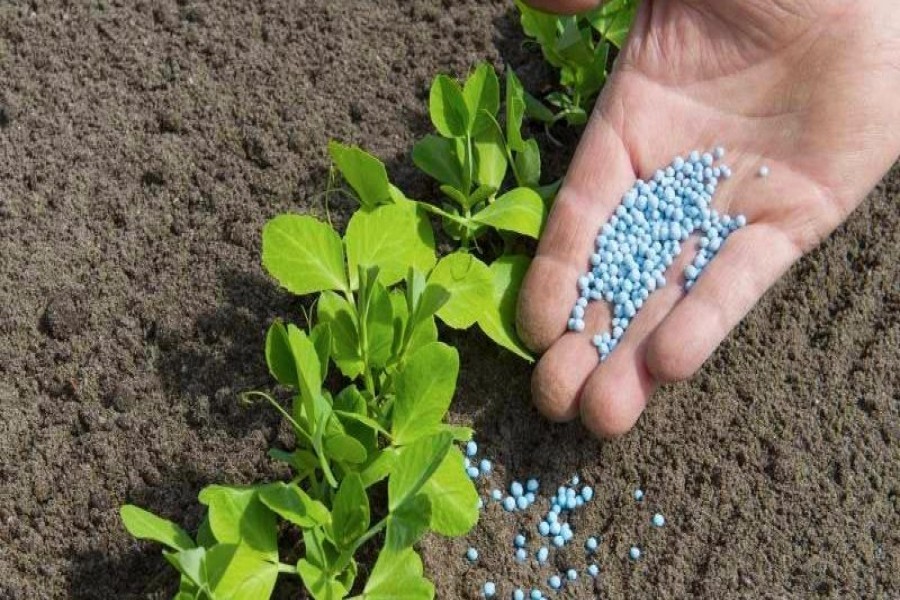 Purchase committee approves proposal for procuring 85,000 tonnes of fertilizer