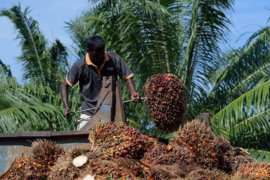 Malaysia keen to hire Bangladeshi workers