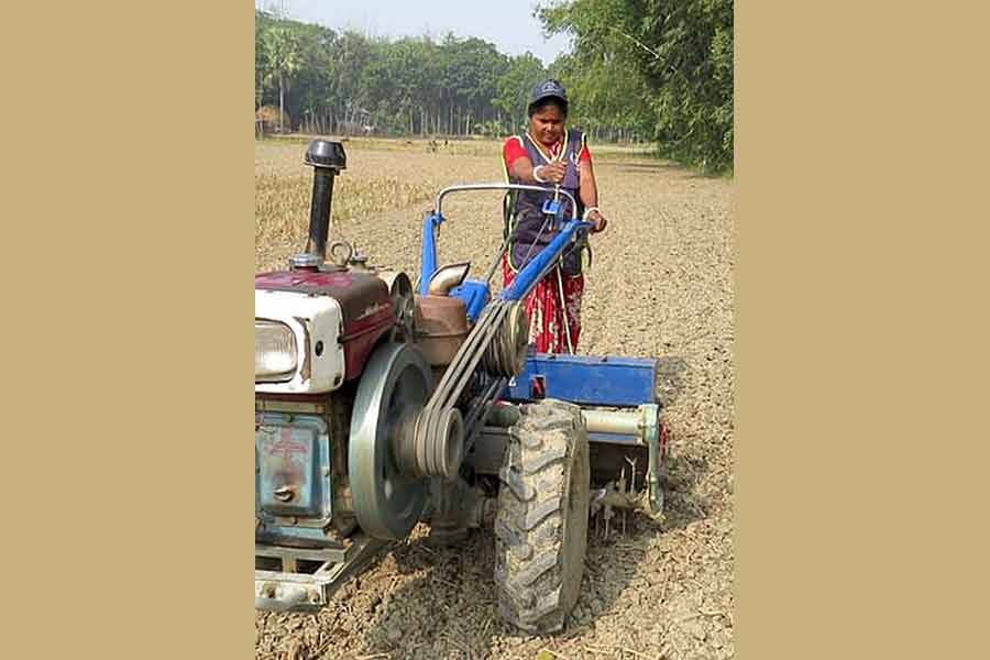 A woman activates the self-starting mechanism on her power-tiller-operated seeder in Rajbari.                —CIMMY Photo