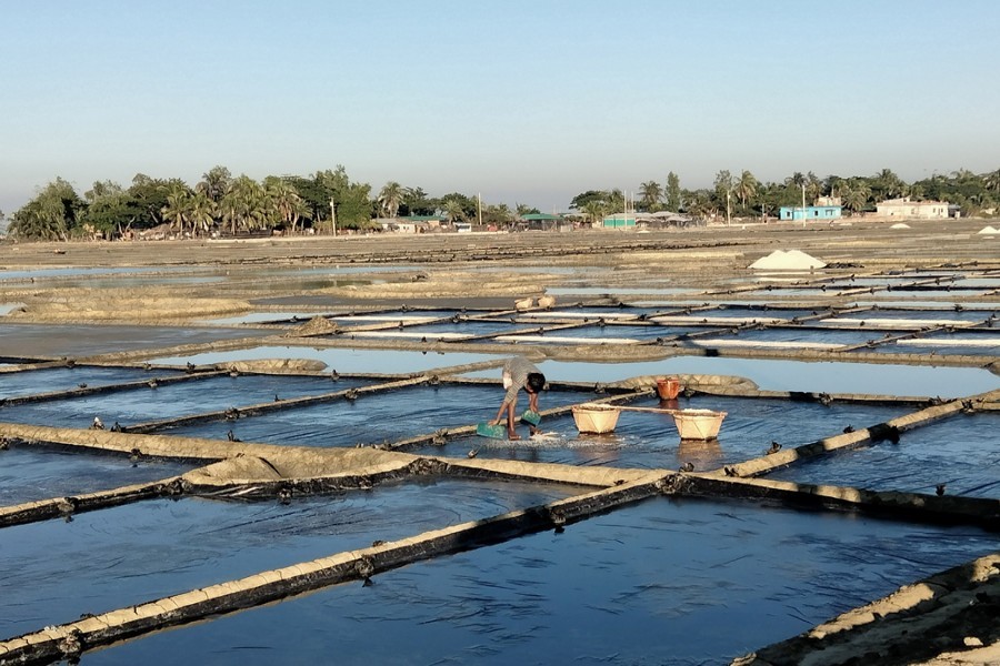 Salt industry in Cox's Bazar back to life