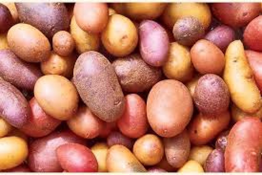 Russia lifts ban on Bangladesh potato import