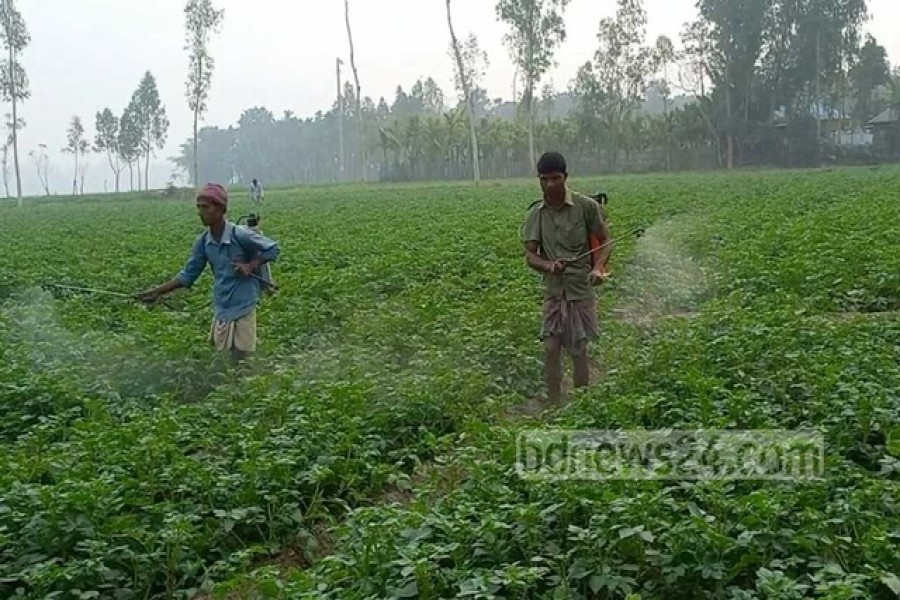 Bangladesh gets $120m in World Bank loans to improve food security