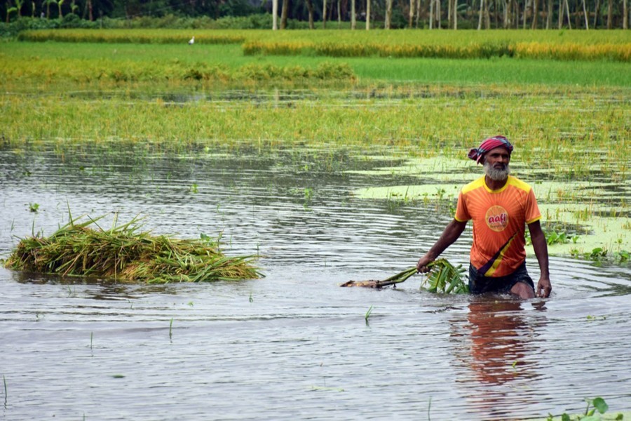 Focus Bangla file photo used only for representation