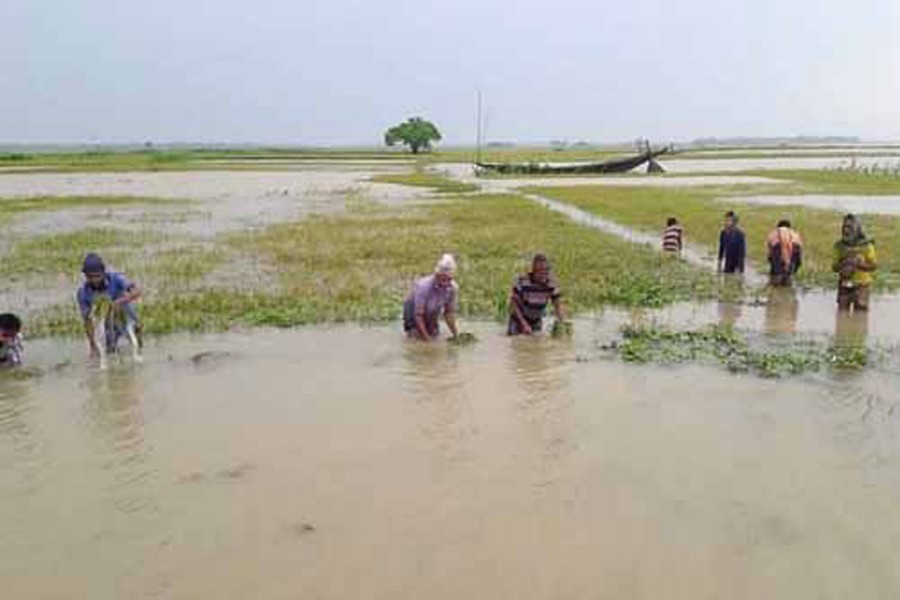 Flood in Haor: Situation may worsen slightly