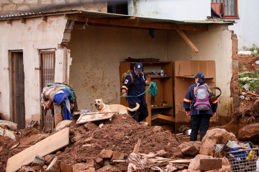 A search and rescue team use a dog to search for bodies in Dassenhoek near Durban, South Africa, April 17, 2022. REUTERS/Rogan Ward