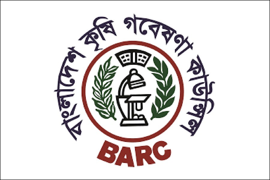 4 Openings at Bangladesh Agricultural Research Council