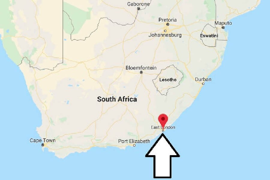 At least 20 dead in South African club; cause not yet known