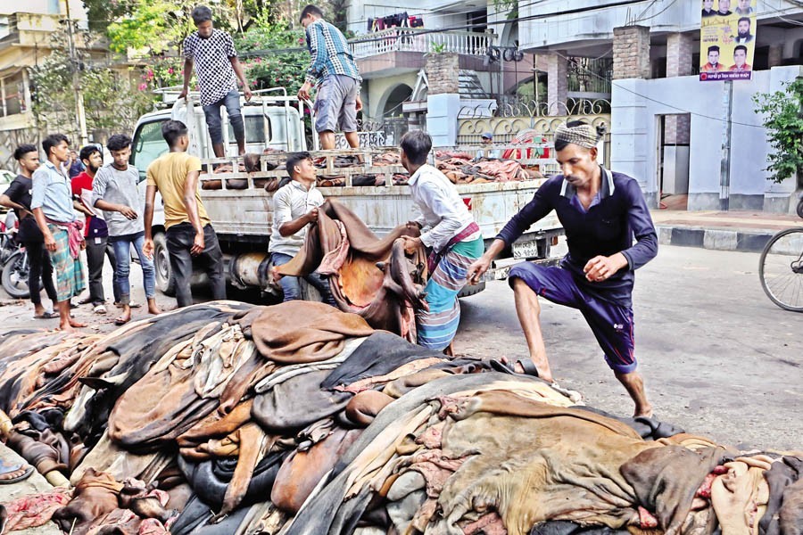 Rawhides of sacrificial animals pile up on the roadside in Posta area of Lalbagh in the city as seasonal traders collected them on the day of Eid-ul-Azha — FE photo