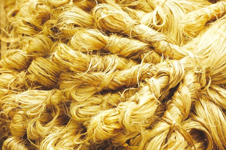 Direct jute export shipping to Europe, UAE planned