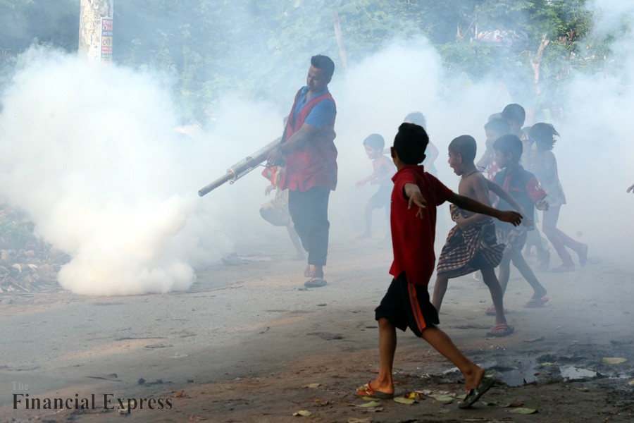 55 dengue patients hospitalised in 24 hours