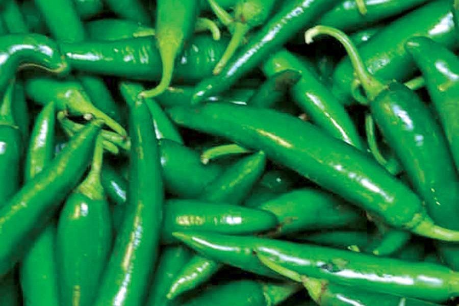 Green chilli hits Tk 240 a kg!