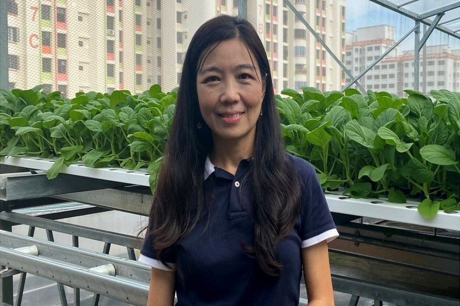 - Urban farmer Eyleen Goh farms among high-rise buildings