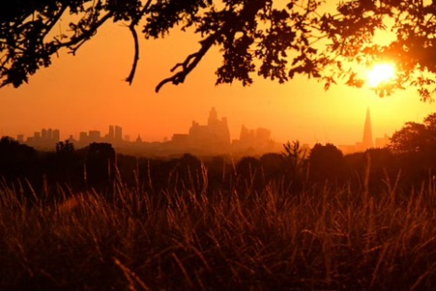 The sun rises above the London skyline, as a second heatwave is predicted for parts of the country, in London, Britain, Aug 11, 2022. REUTERS