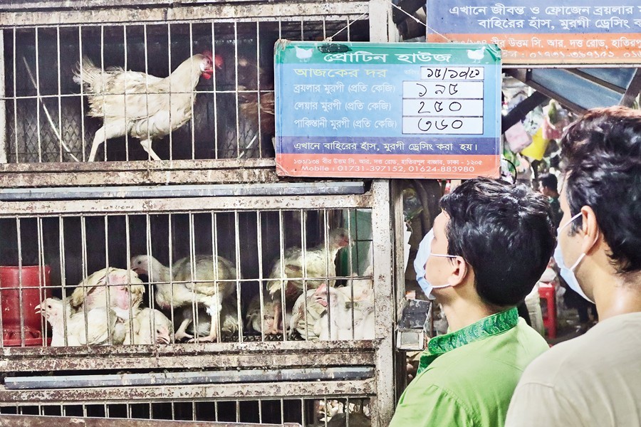 Middlemen, supply-demand mismatch drove prices of eggs, chickens