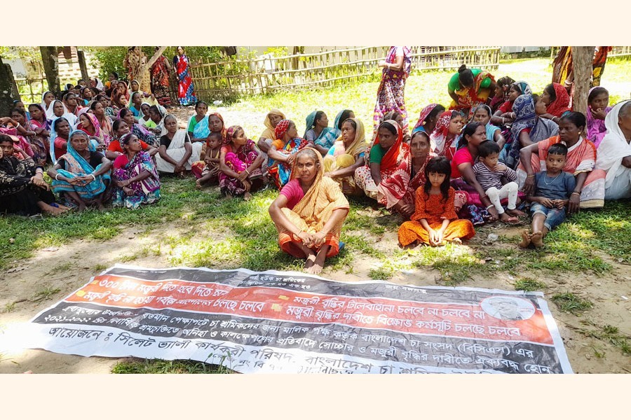 ফাইল ছবিঃ ফোকাস বাংলা