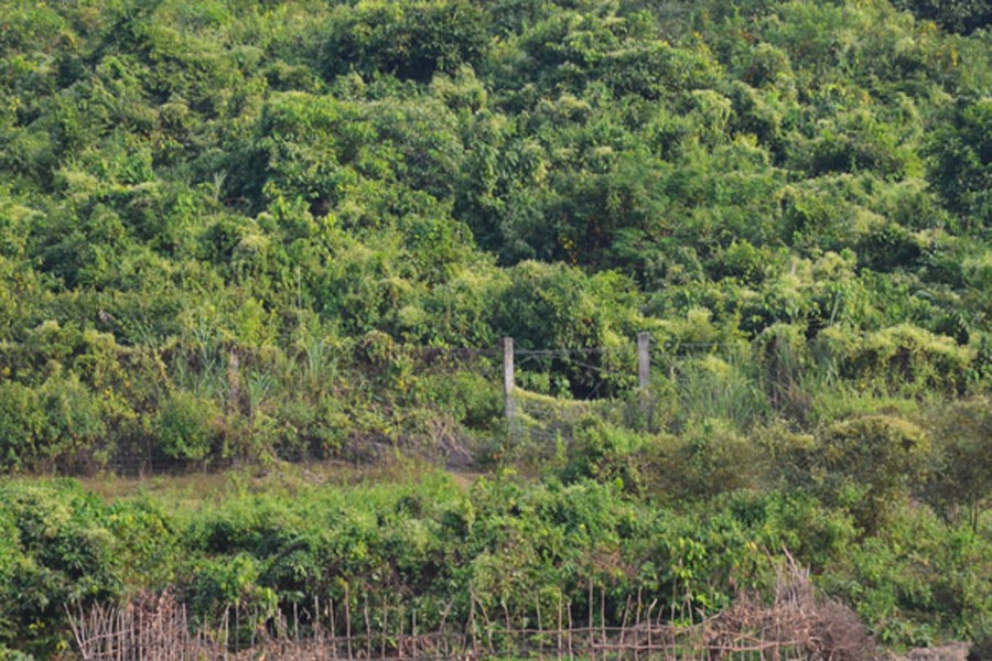 বান্দরবানের ঘুমধুম সীমান্ত। ফাইল ছবি (সংগৃহীত)