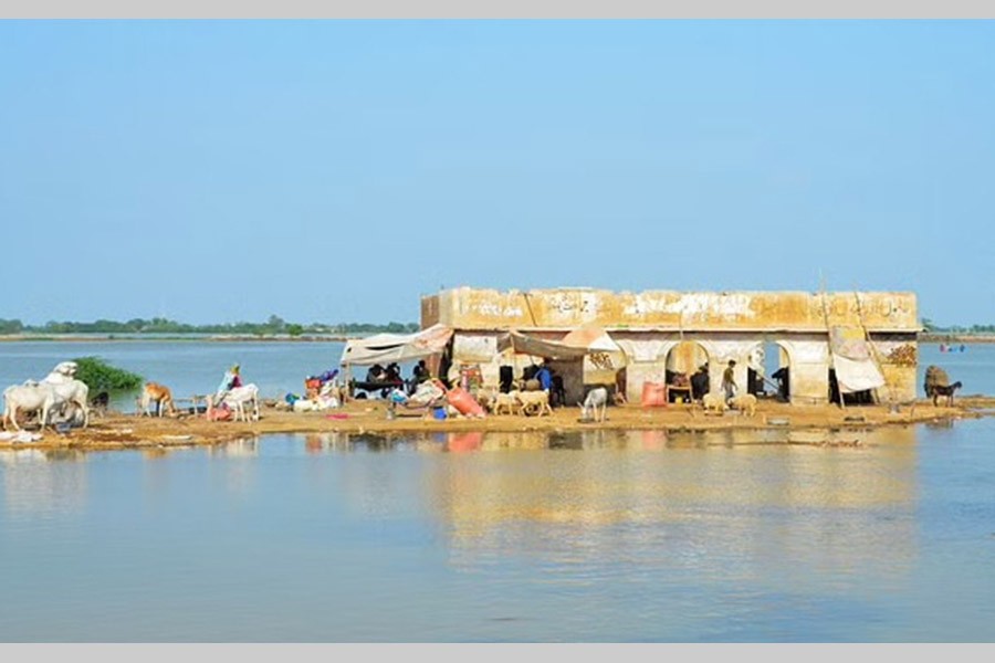 A flood victim family take refuge with their animals in an abandoned building amid flood water, following rains and floods during the monsoon season in Dera Allah Yar, District Jafferabad, Pakistan Sept 2, 2022. REUTERS