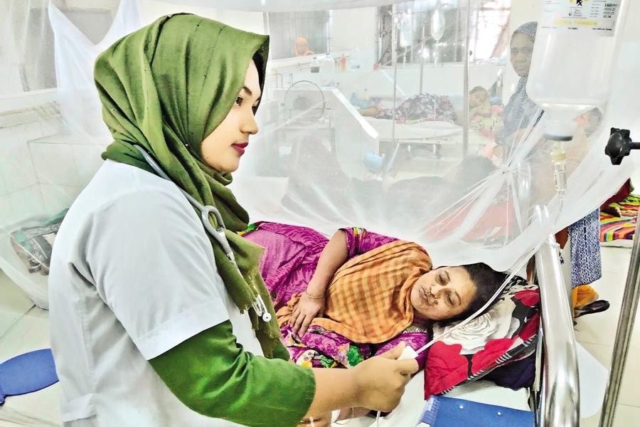 Dengue claims four more lives