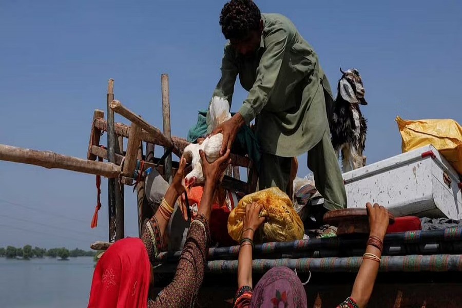 A family, who became displaced, offload their belongings from a truck, following rains and floods during the monsoon season in Sehwan, Pakistan Sept 15, 2022.REUTERS