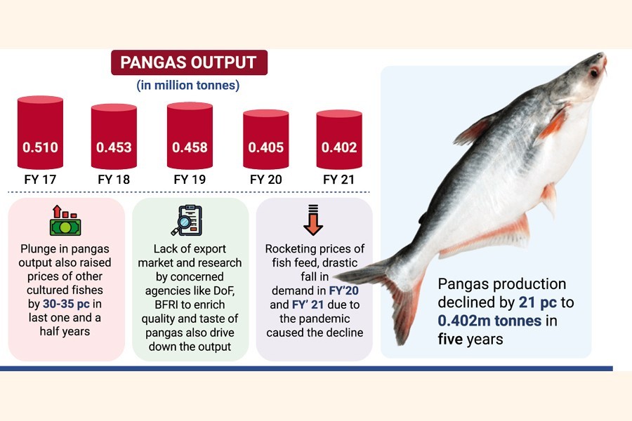 Pangas output witnesses sharp fall