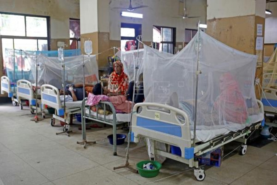 Mirpur, Uttara are dengue hotspots: DGHS