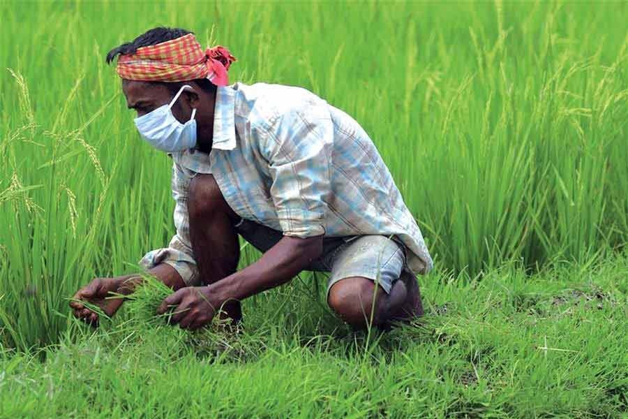 'Bangladesh must double agricultural production by 2030'