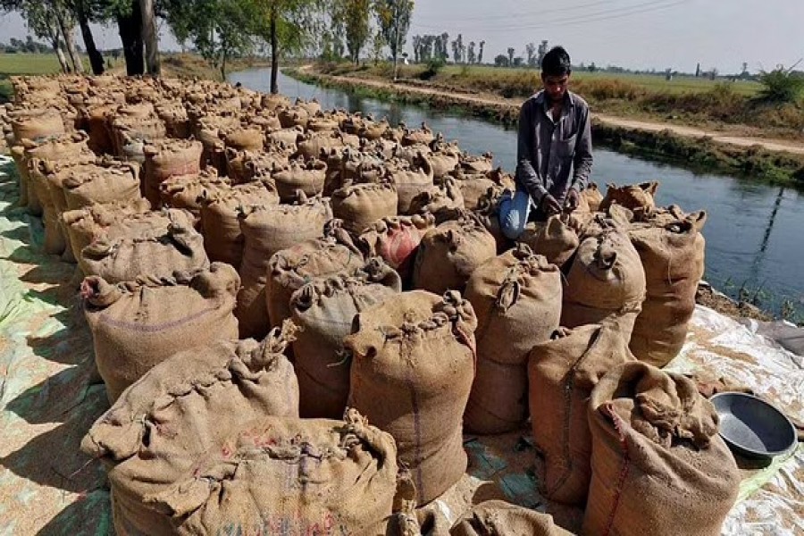 A worker packs a sack filled with rice on the outskirts of the western Indian city of Ahmedabad February 27, 2015. Picture taken February 27, 2015. REUTERS/Amit Dave