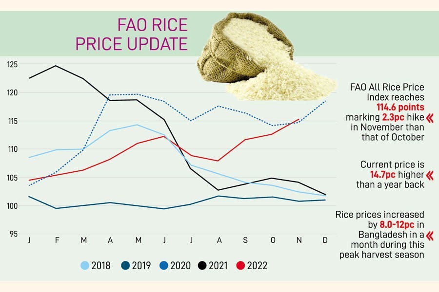 Global rice price keeps soaring