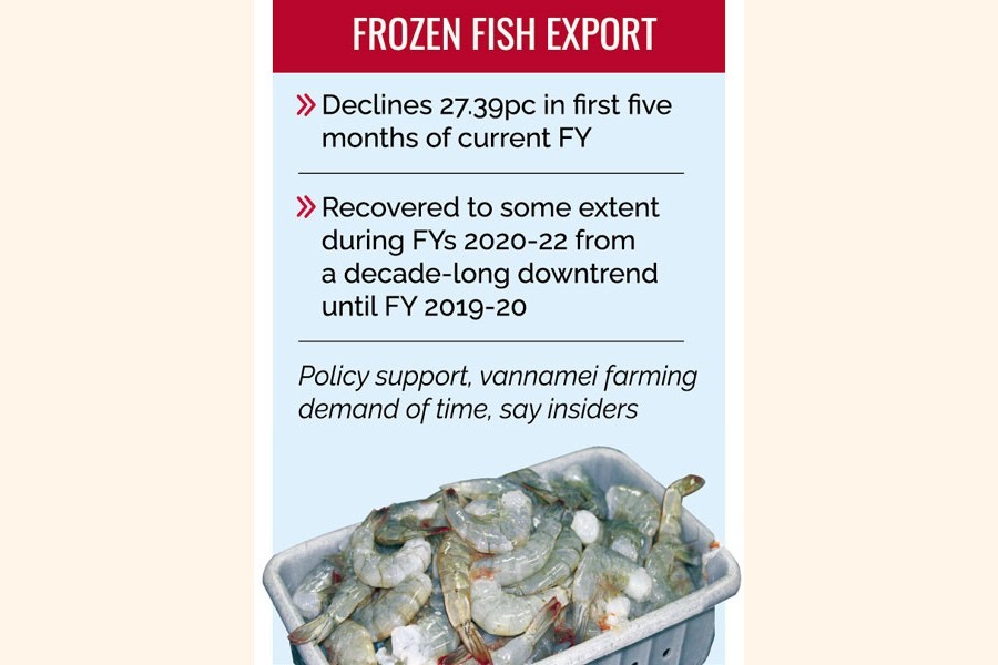 No comforting prospect for frozen fish export