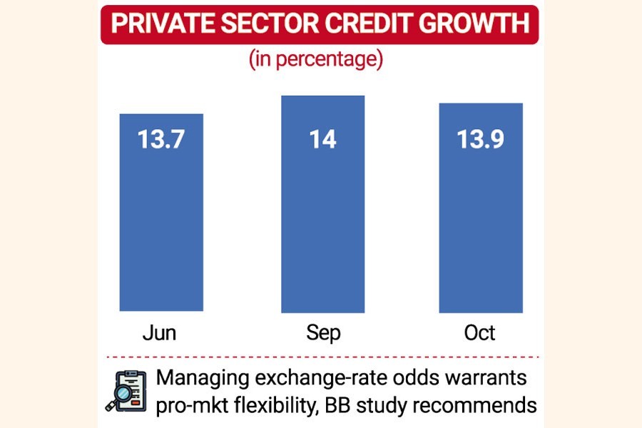 Costly dollar, inflation drive private sector credit flow