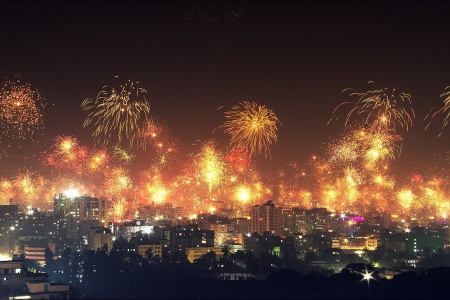 Sufferings of birds during new year celebration: Our festival, their plights