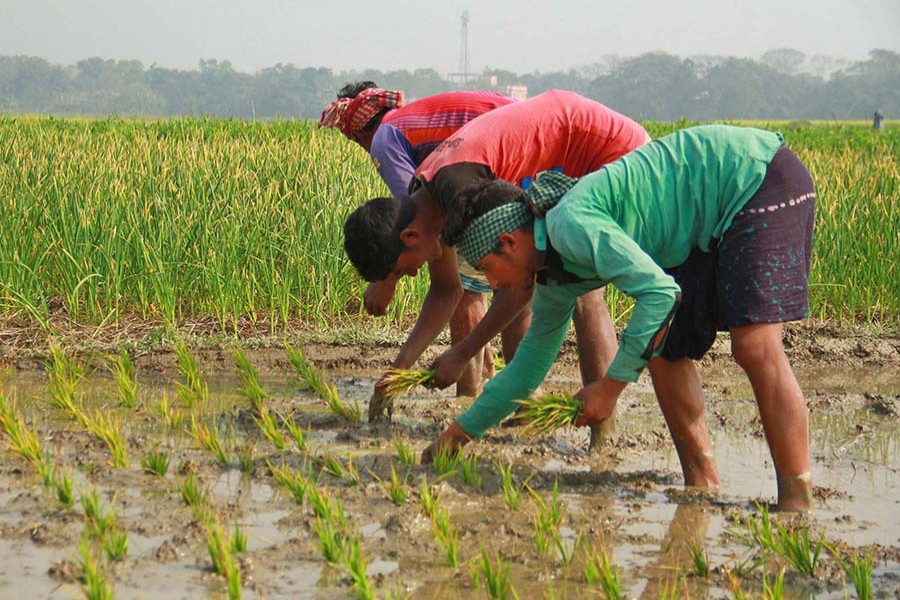 Focus Bangla file photo