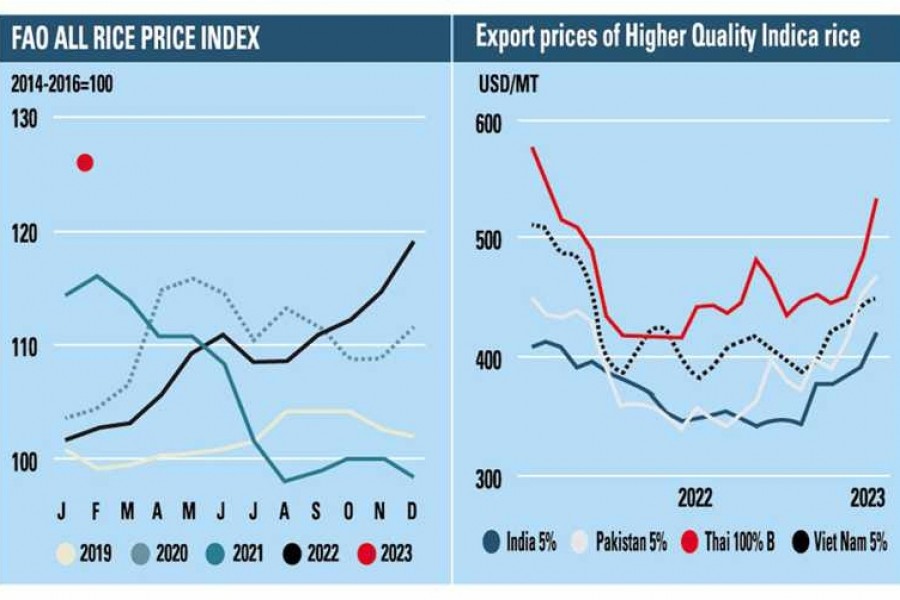 Global rice prices hit 12-year high in Jan: FAO